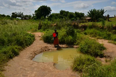 DSC_5149 (Large).JPG